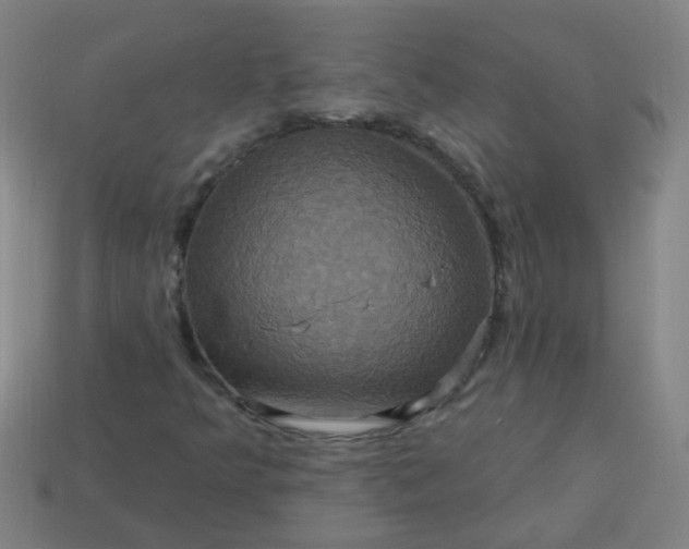 X0000114101349200910191634