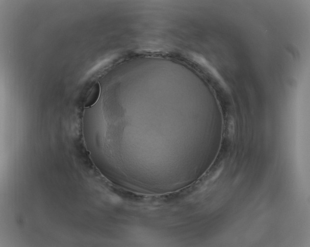 X0000114101350200910191634