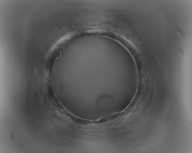 X0000114101351200910191634