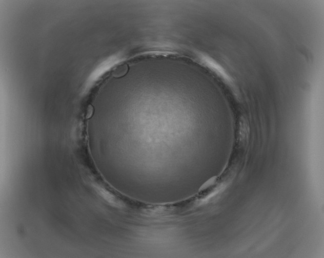 X0000114101352200910191634