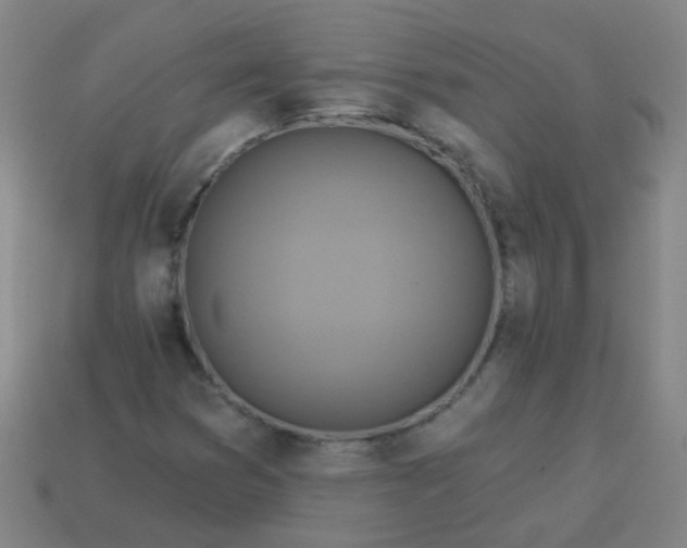 X0000114101353200910191634