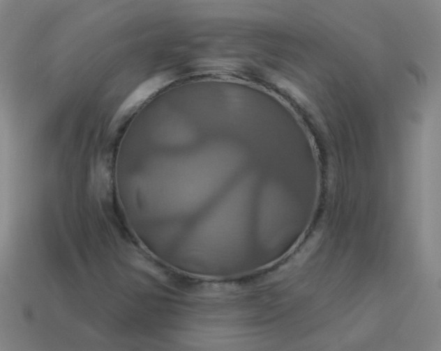 X0000114101354200910191634