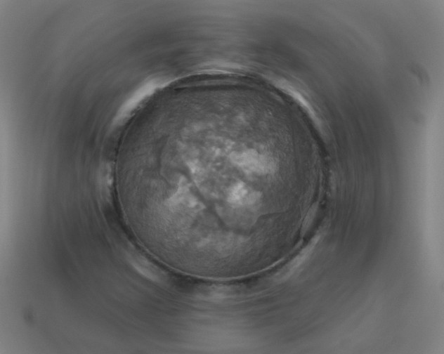 X0000114101355200910191634