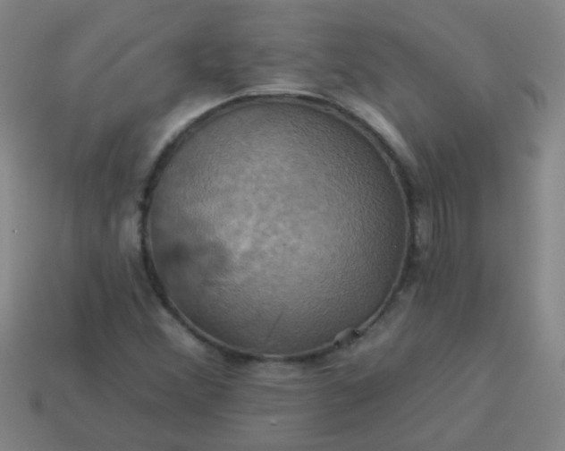 X0000114101356200910191634