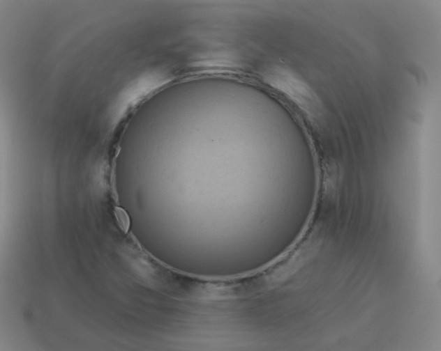 X0000114101357200910191634