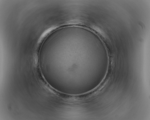 X0000114101358200910191633