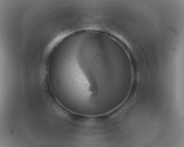 X0000114101359200910191633