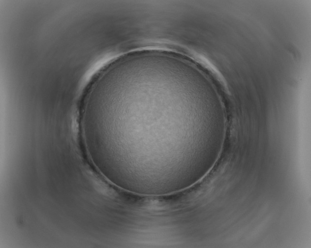 X0000114101360200910191633