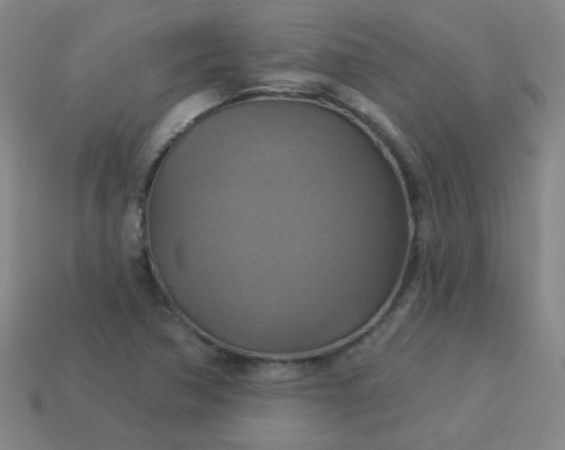 X0000114101362200910191633