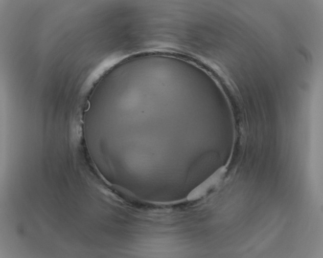 X0000114101363200910191633