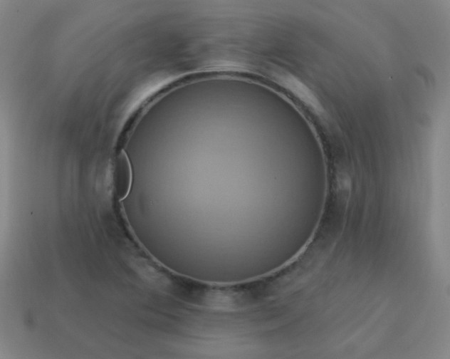 X0000114101364200910191633