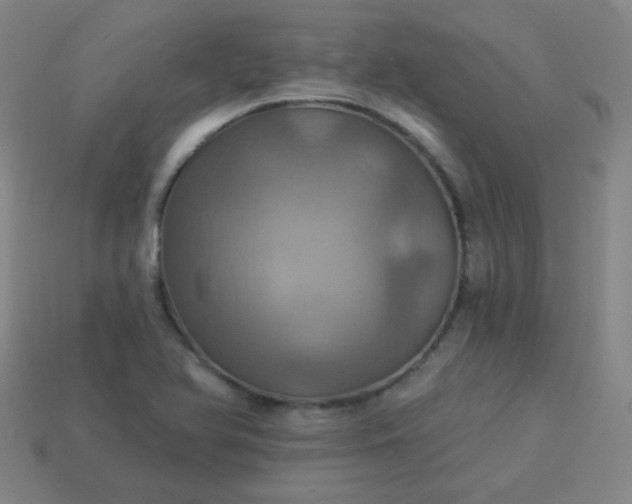 X0000114101366200910191633