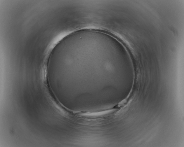 X0000114101367200910191633