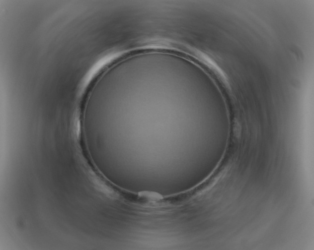 X0000114101368200910191633