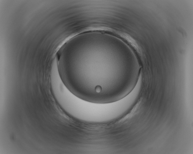 X0000114101369200910191633