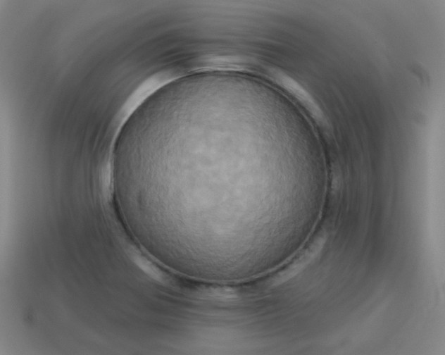 X0000114101370200910191633