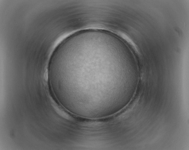 X0000114101372200910191633