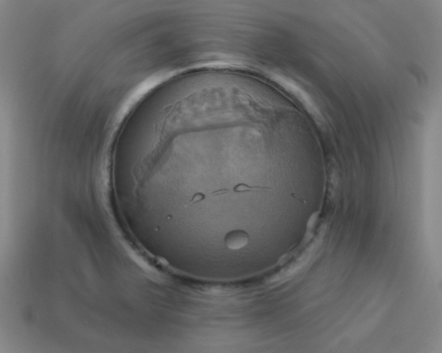 X0000114101375200910191633