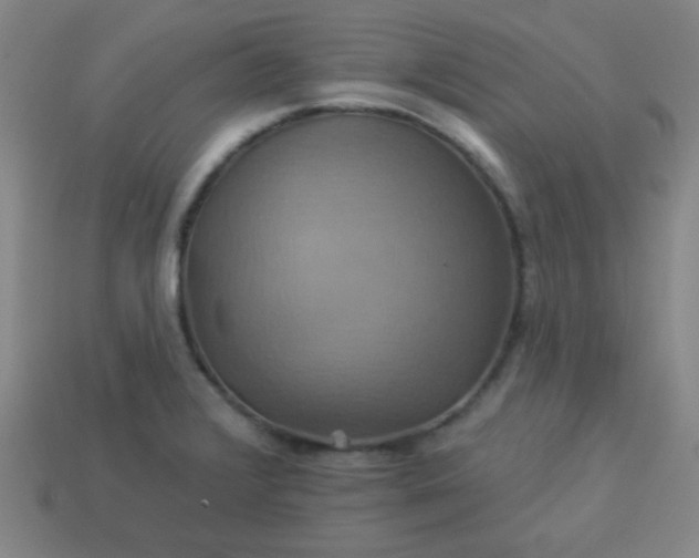 X0000114101376200910191633