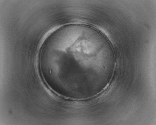 X0000114101379200910191633