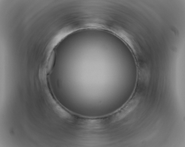 X0000114101381200910191633