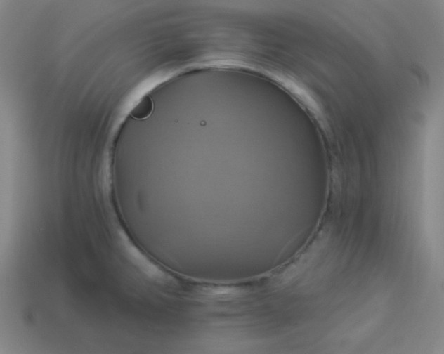 X0000114101382200910191633