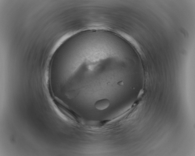 X0000114101383200910191633