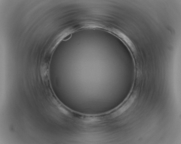 X0000114101385200910191633