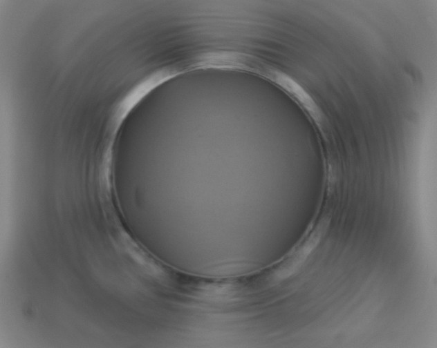 X0000114101386200910191633