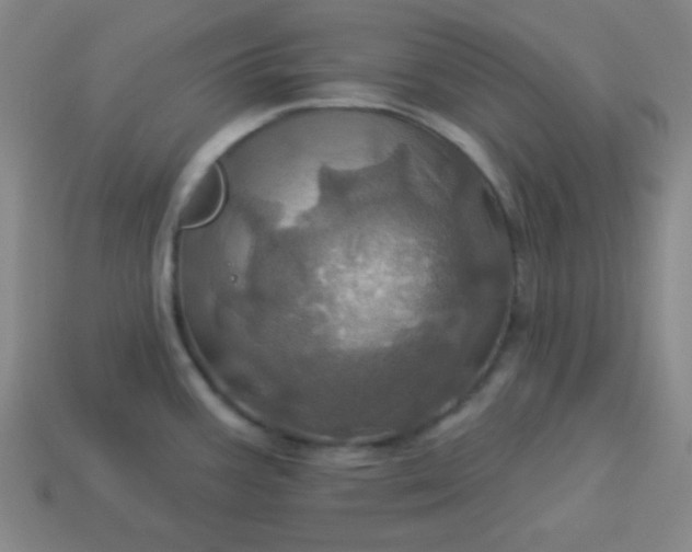 X0000114101387200910191633