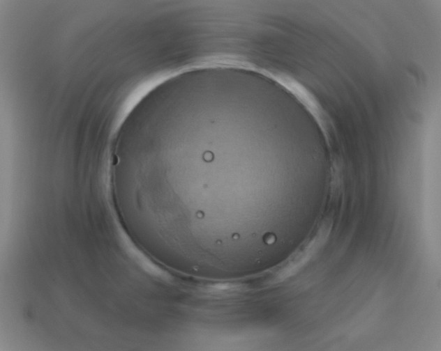 X0000114101390200910191633