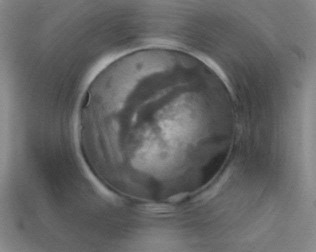 X0000114101391200910191633