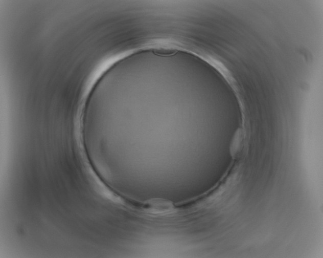 X0000114101392200910191633