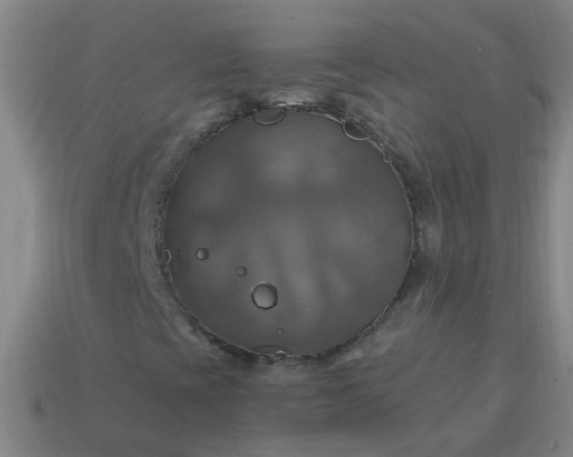 X0000114101393200910191632