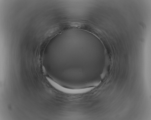 X0000114101394200910191632