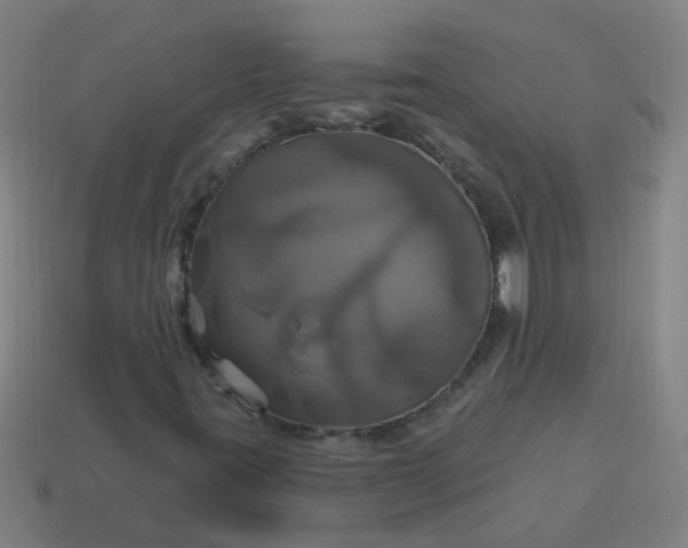 X0000114101395200910191632