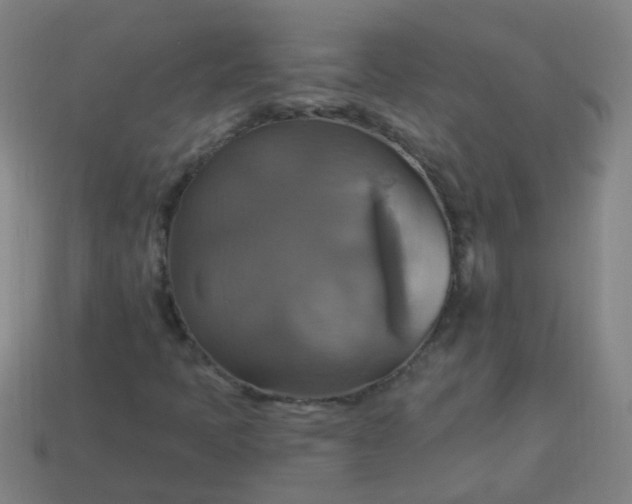 X0000114101397200910191633