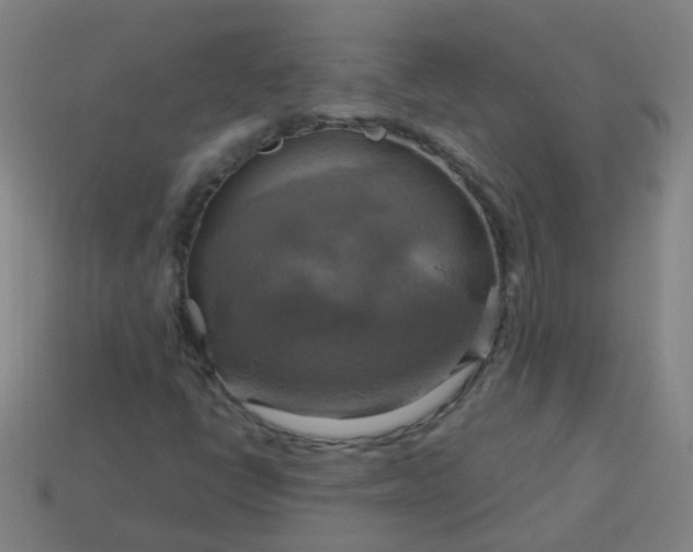 X0000114101398200910191633