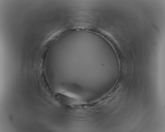 X0000114101399200910191633