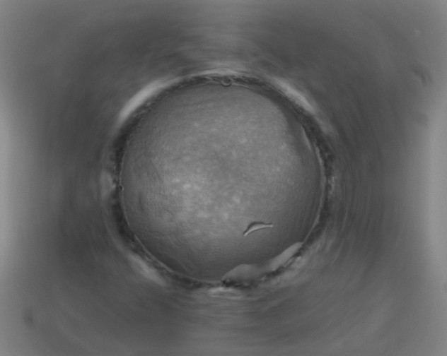 X0000114101400200910191633