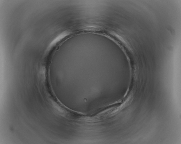 X0000114101402200910191633