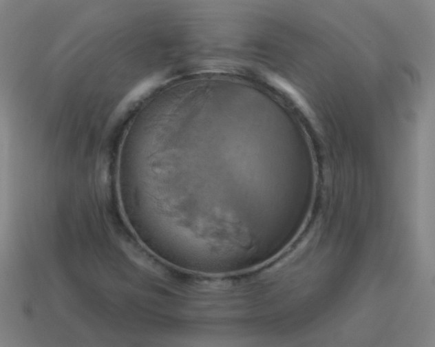 X0000114101403200910191633