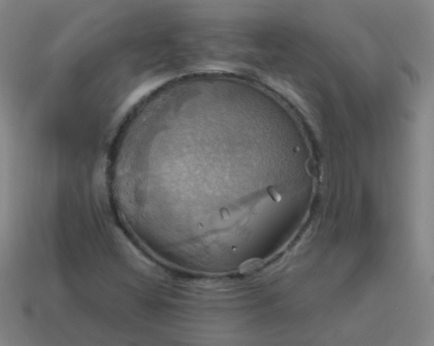 X0000114101404200910191633