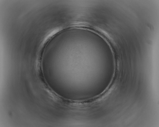 X0000114101405200910191633