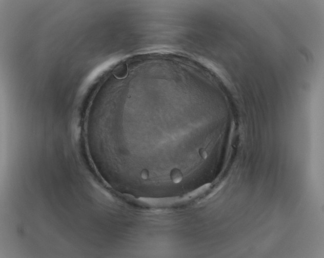 X0000114101406200910191633