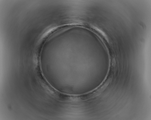 X0000114101407200910191633