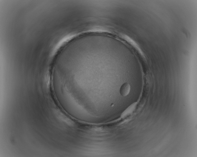 X0000114101408200910191633