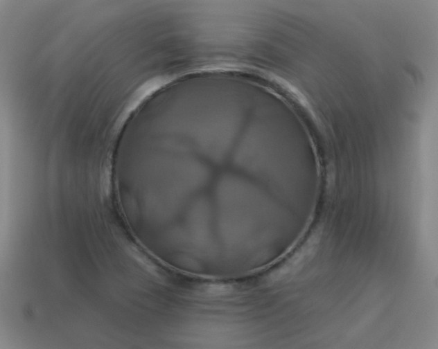 X0000114101409200910191633