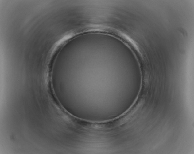 X0000114101411200910191633