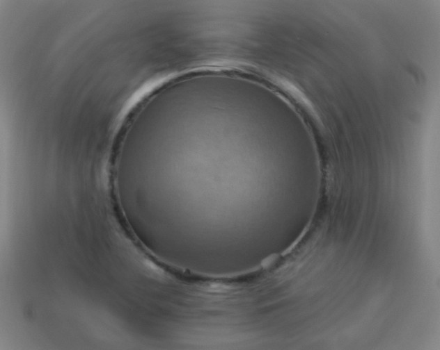 X0000114101412200910191633